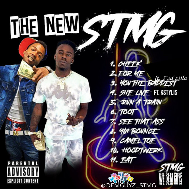 THE NEW STMG cover art