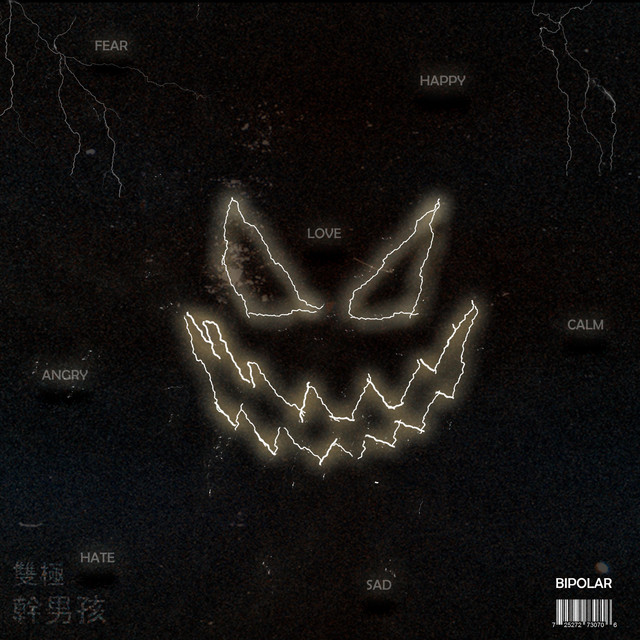 Bipolar cover art