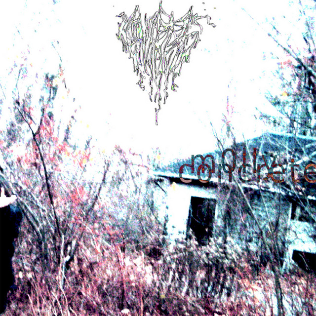 concrete cover art
