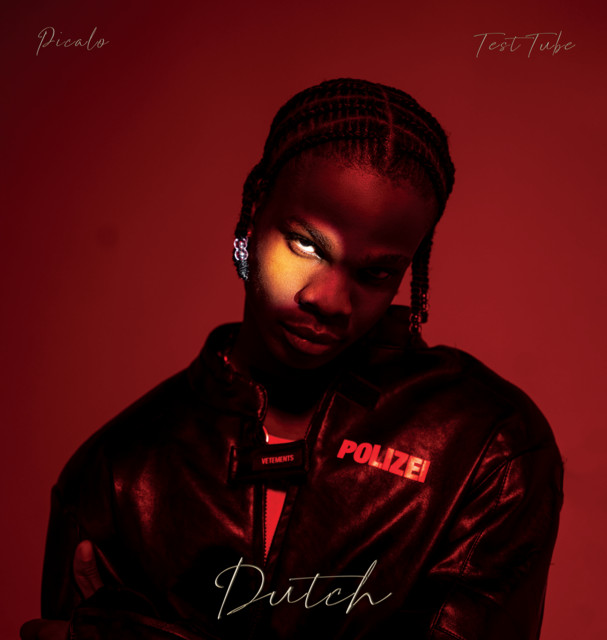 PICALO & Test Tube cover art