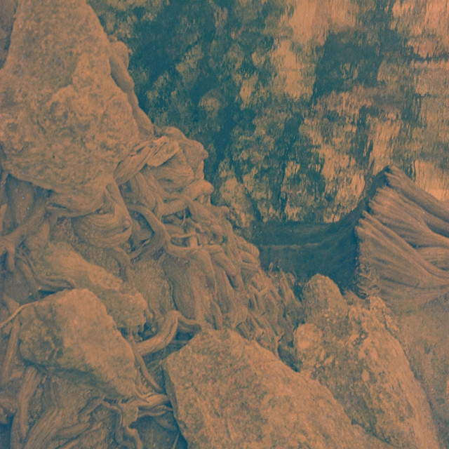 Dan Rathernaut (single)
