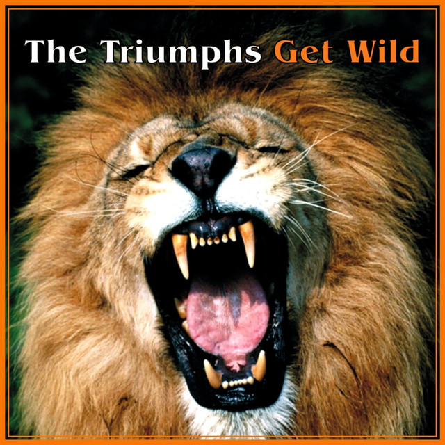 Get Wild cover art