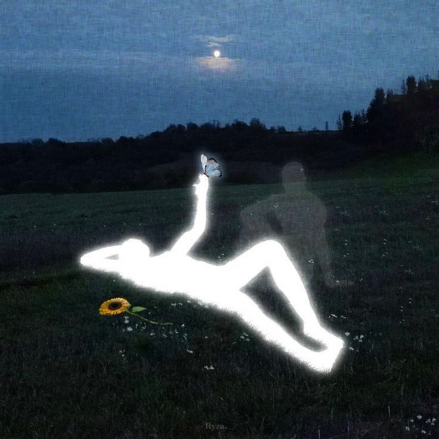 Mis Noches