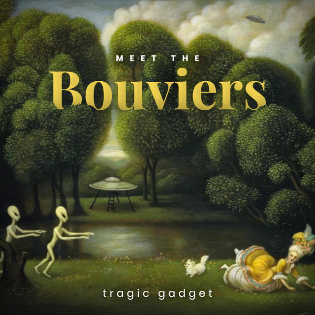 Meet the Bouviers cover art