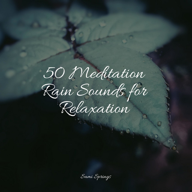 50 Meditation Rain Sounds for Relaxation - Album by Relaxation Music ...