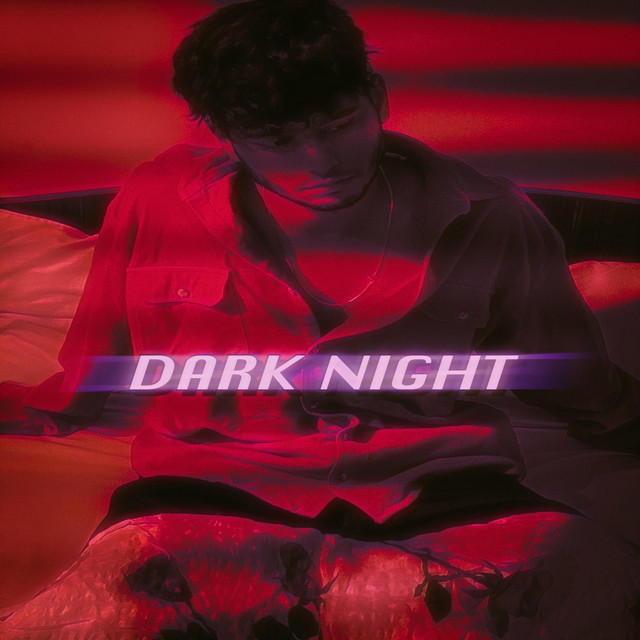 Dark Night cover