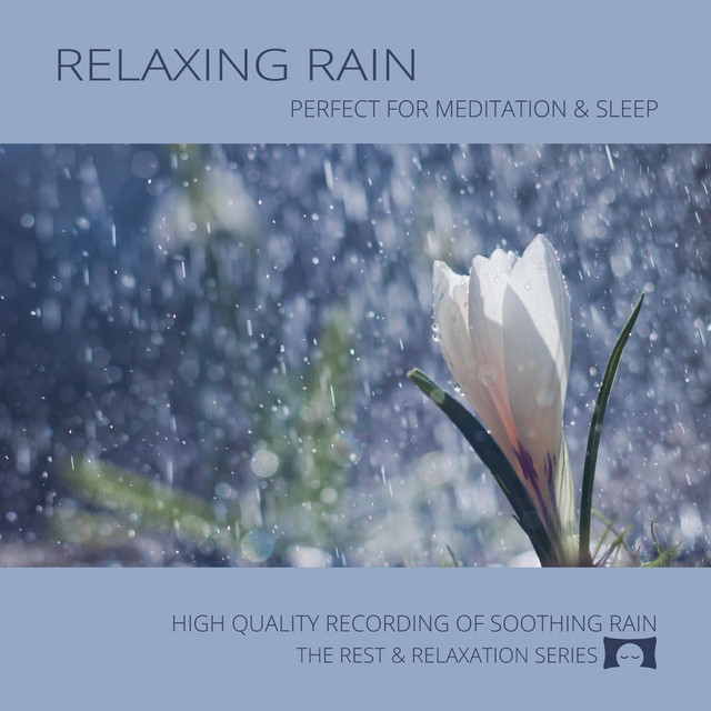 Relaxing Rain: Perfect for Meditation & Sleep cover art