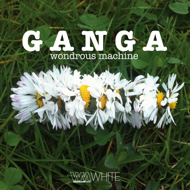 Wondrous Machine cover art