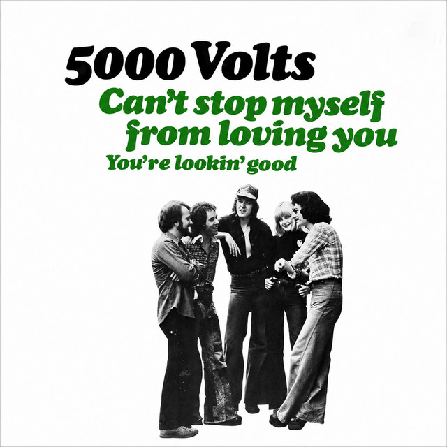Can't Stop Myself From Loving You cover