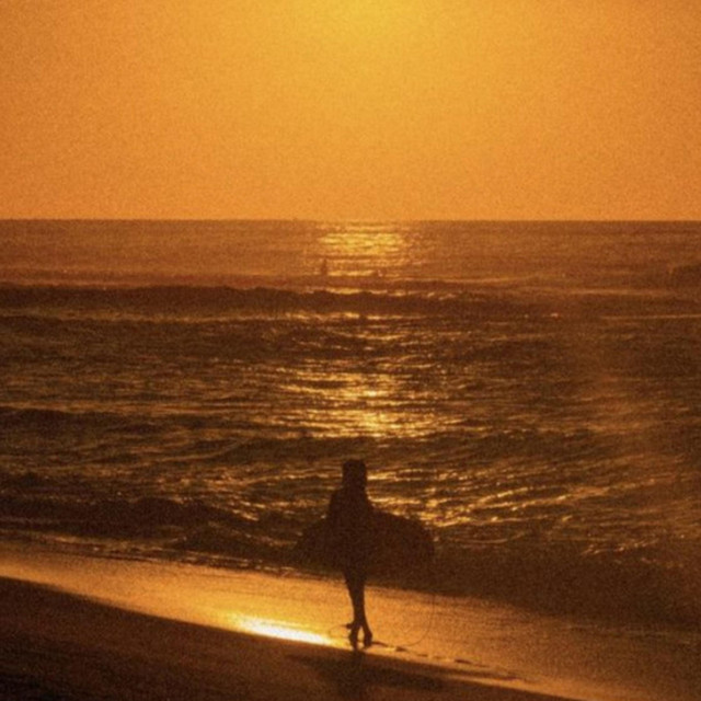 Tint Creature cover art