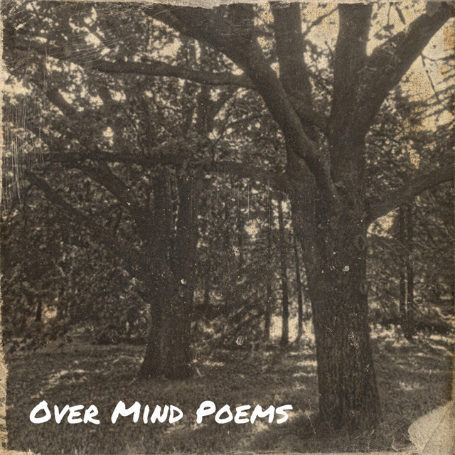 Обкладинка avem musician — Over Mind Poems