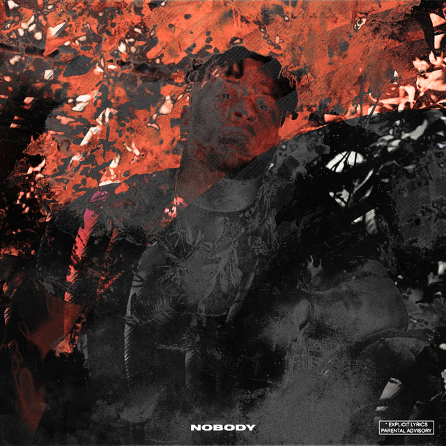 Nobody (Deluxe) cover art