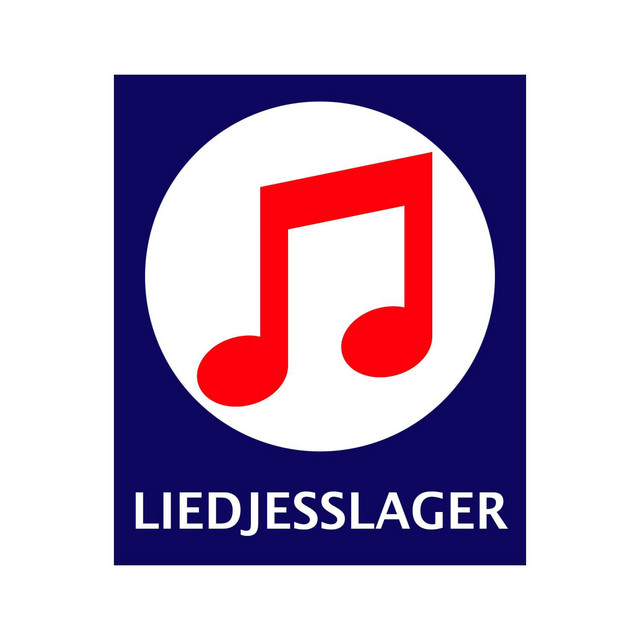 LIEDJESSLAGER (1) album image