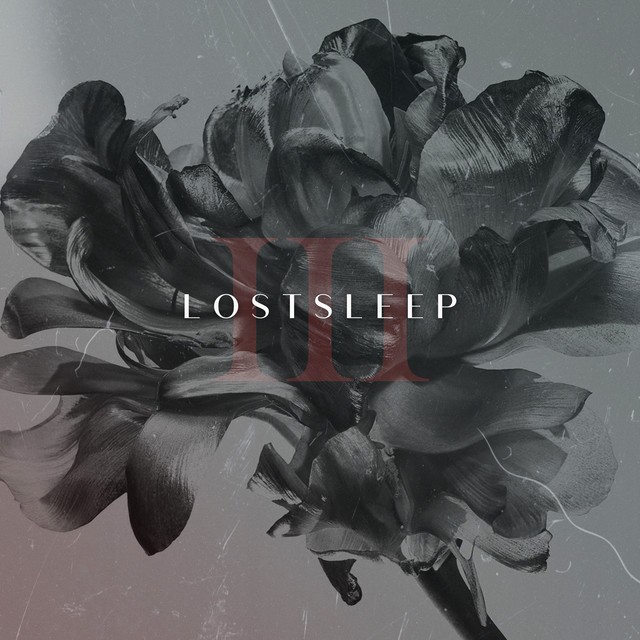 Обкладинка: Skin & Bones — LOSTSLEEP