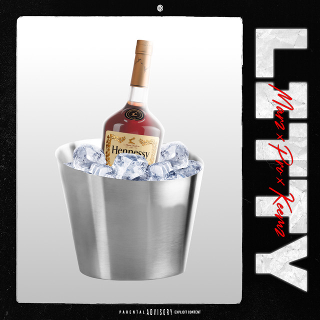 Litty cover art