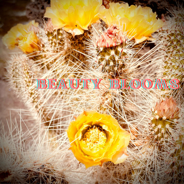 Beauty Blooms cover art