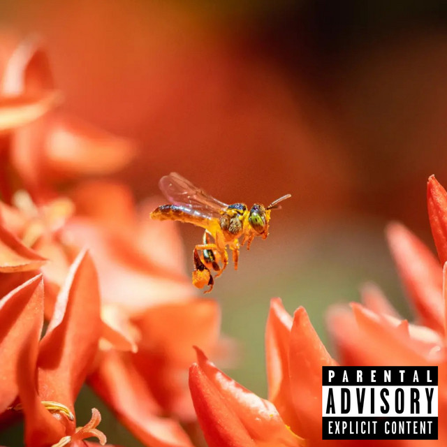 Do Vale pro Mundo cover art