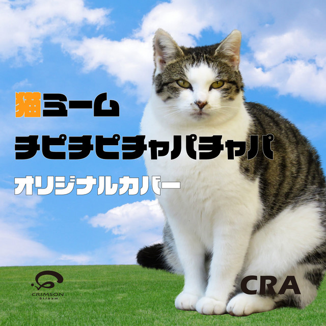 チピチピチャパチャパ (DUBIDUBIDU) 猫ミーム SNS人気楽曲 オリジナル