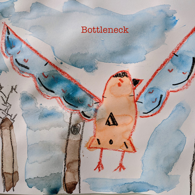 Bottleneck cover art