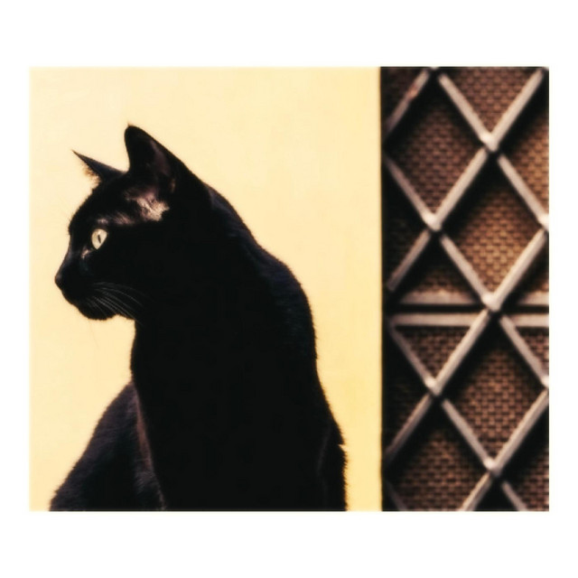 one that partly belongs to cover art