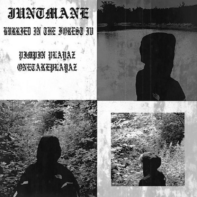 Cover art: BURRIED IN THE FOREST IV — JUNTMANE
