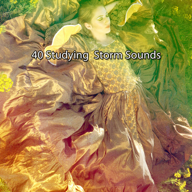40 Studying Storm Sounds cover art