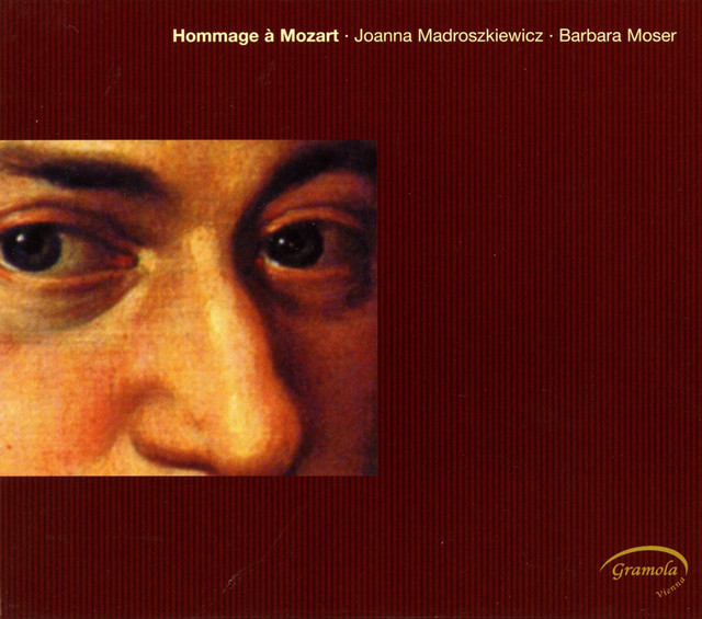 6 Variations in G Minor on Helas, j'ai perdu mon amant, K. 360: Variation 6 cover art