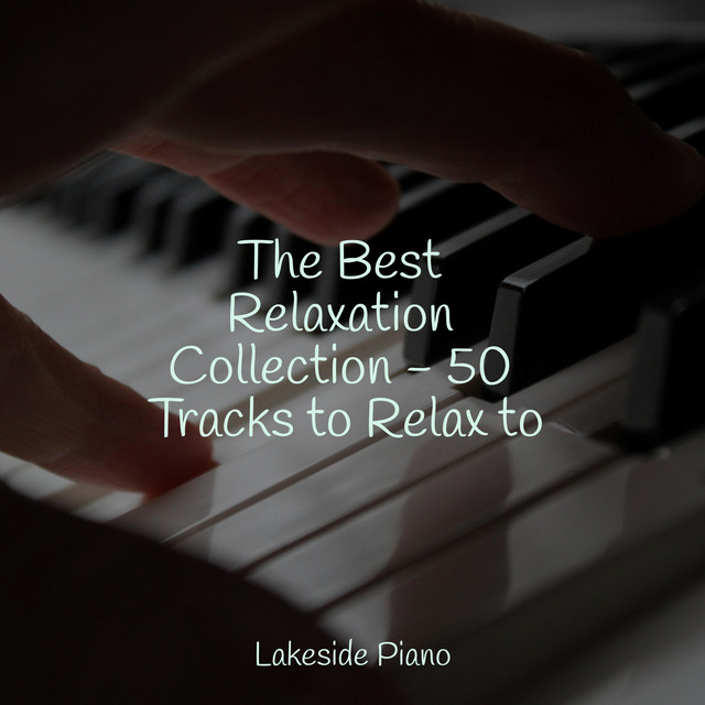 The Best Relaxation Collection - 50 Tracks to Relax to - Album by SD ...