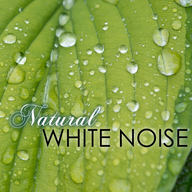White Master Photo