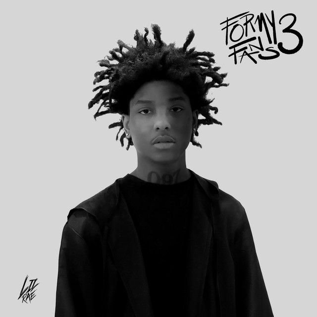 For My Fans 3 cover art