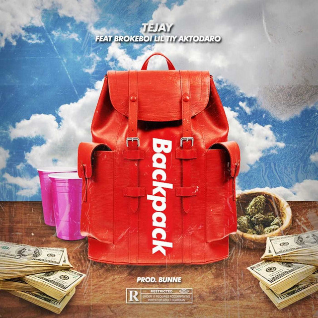 Backpack cover art