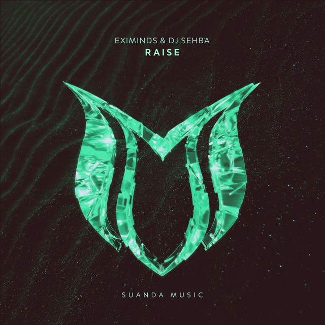 Raise - Extended Mix album art