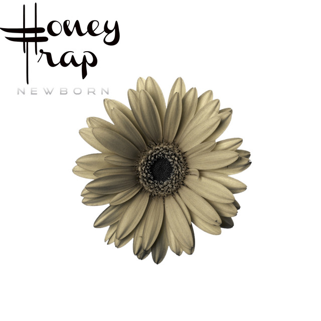 Honey Trap