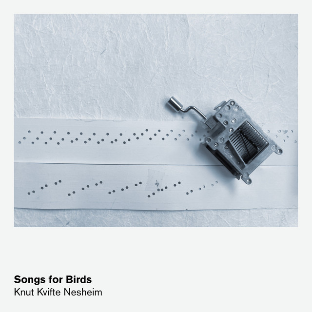 Songs for Birds cover