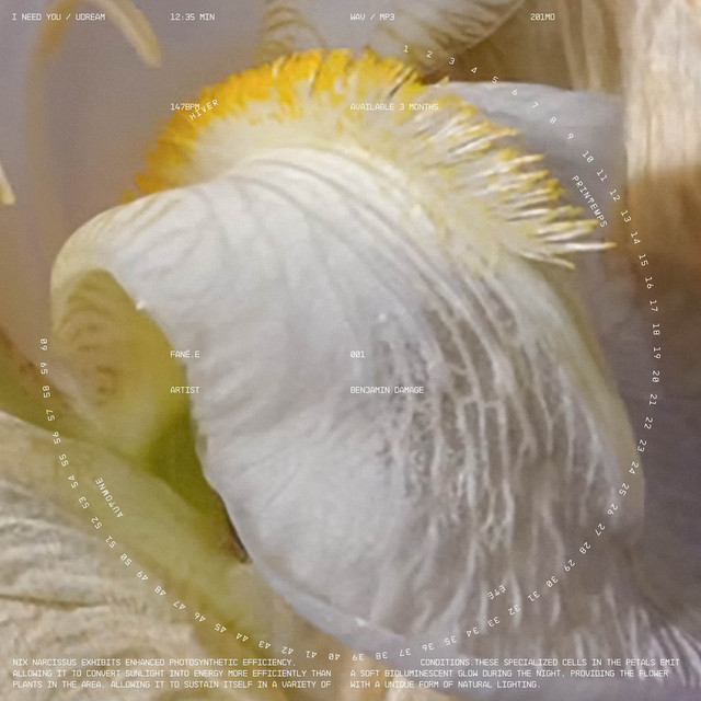 Nix Narcissus cover art