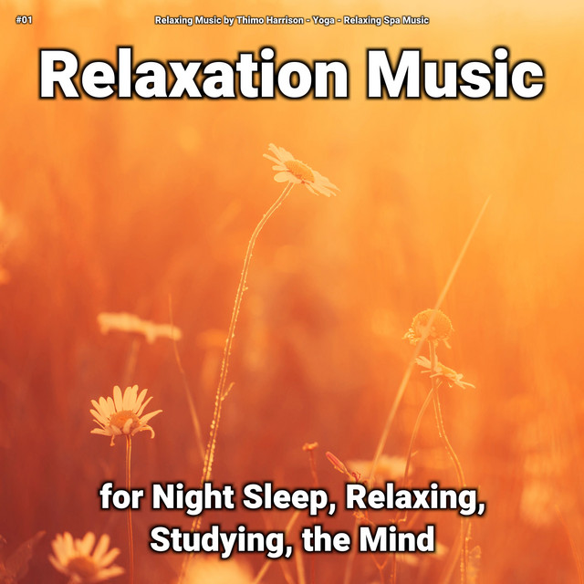 Background Music to Make You Sleep Instantly - song and lyrics by ...
