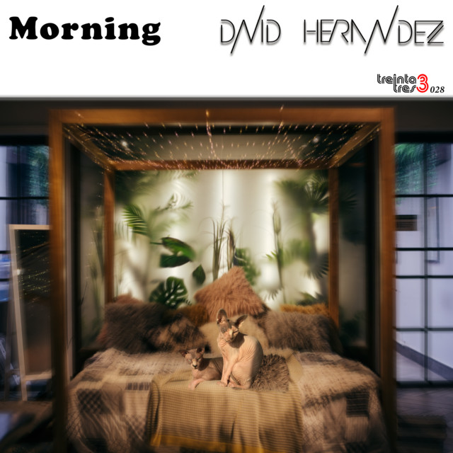 Morning - Original Mix cover art