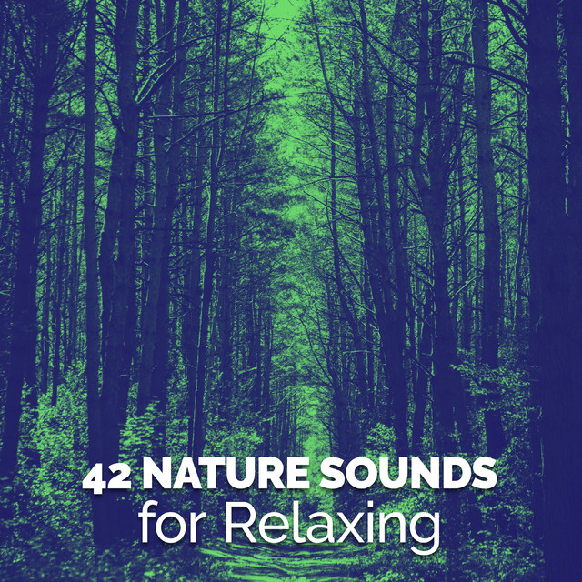 42 Nature Sounds for Relaxing cover art