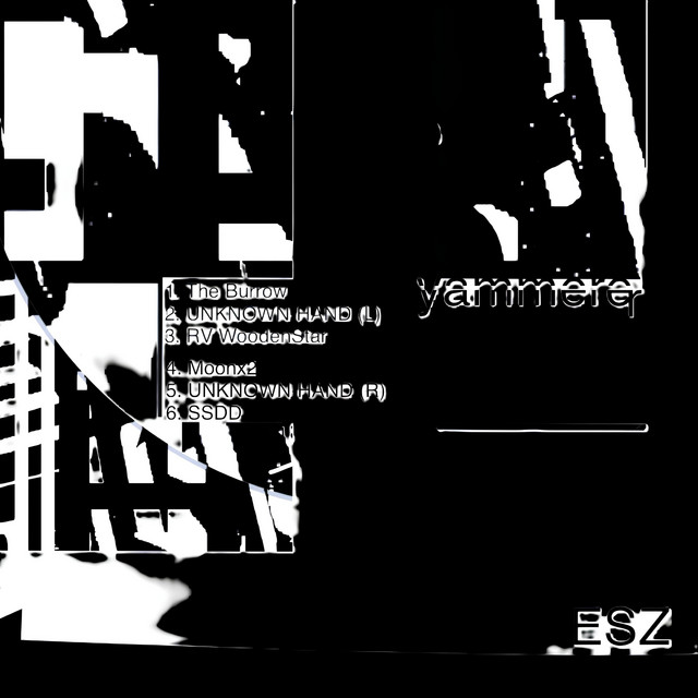 Erth Station Zebra cover art