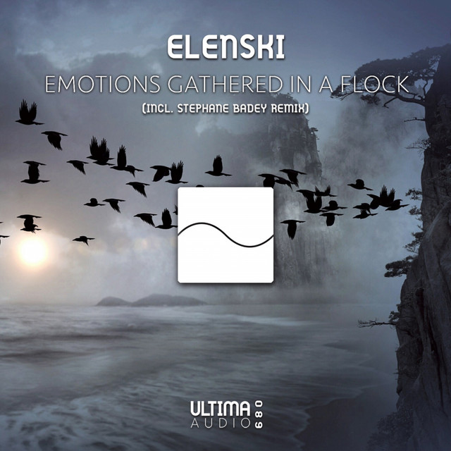 Emotions Gathered In A Flock - Stephane Badey Remix