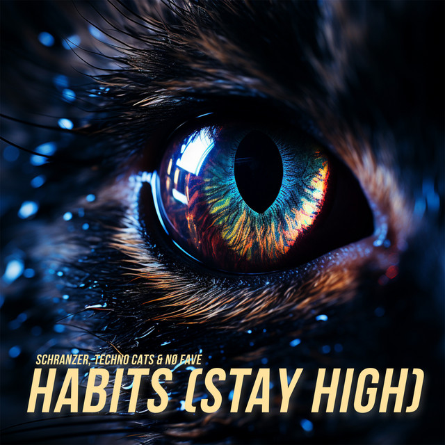 Habits (Stay High)