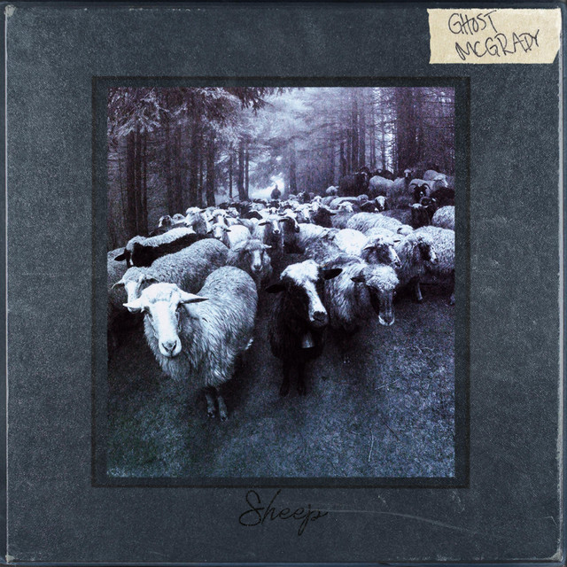 Sheep cover art