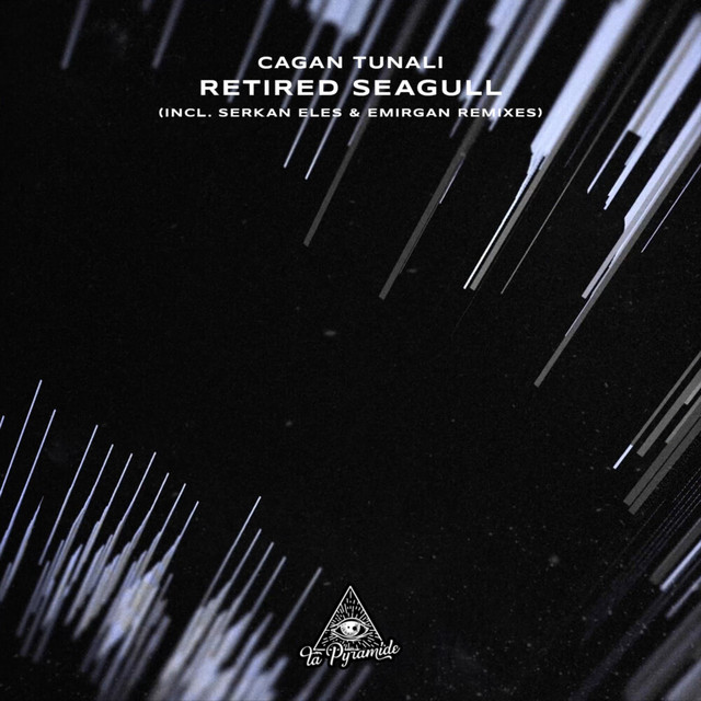 Retired Seagull (Incl. Serkan Eles & Emirgan Remixes) cover art