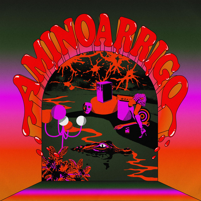 Aminoarrigo cover art