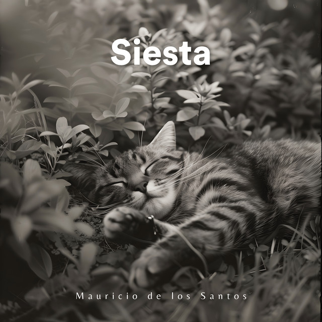 Siesta