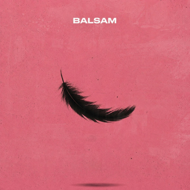 Обкладинка: Я, падаю в тебе Мʼяко — Balsam