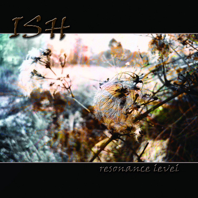 Resonance Level cover art