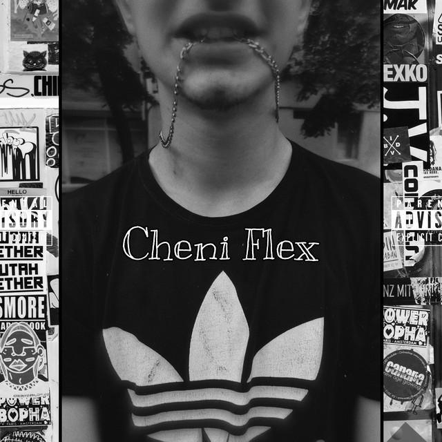 Flex cover art