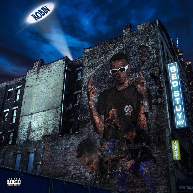Robin cover art