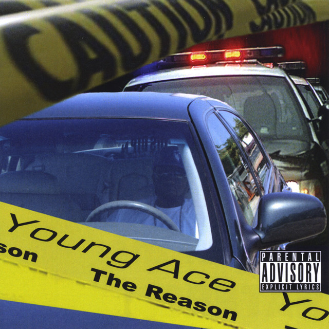 The Reason cover art